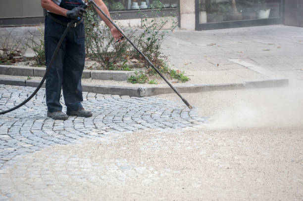 Best Driveway Cleaning and Restoration in Normal, IL